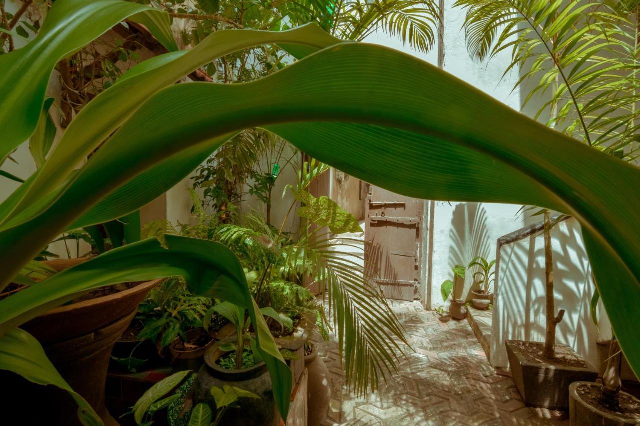 Malindi Guest House Zanzibar Εξωτερικό φωτογραφία